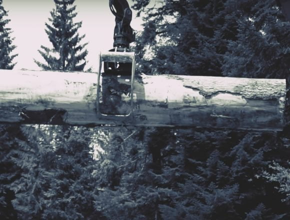 agent green Cazul masacrării pădurilor seculare din Bucegi ajunge la DNA